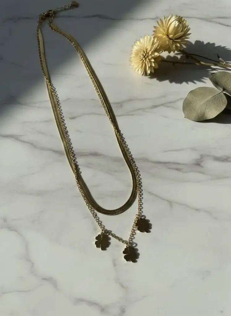 WhatsApp Image 2025-09-29 at 12.57.05 PM (1).webp