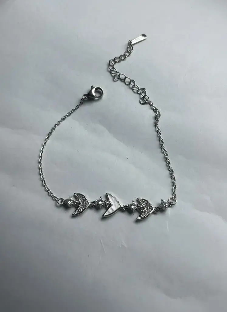 SILVER FLY